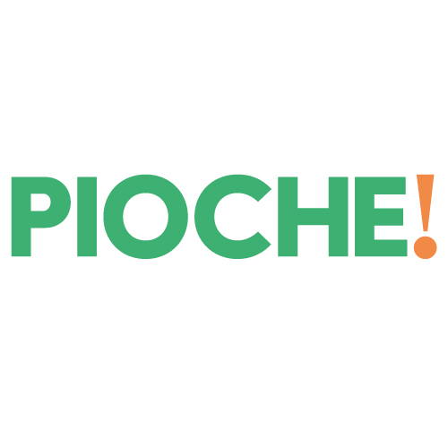 Logo Pioche